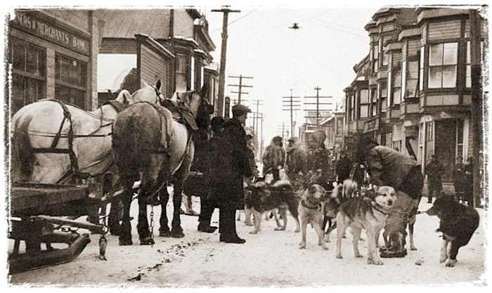 WALKOFF, NOME RUN
Arriving at the end of the relay five and a half days after it began, Kaasen is said to have staggered off his sled and declared to Balto: “Damn fine dog.”